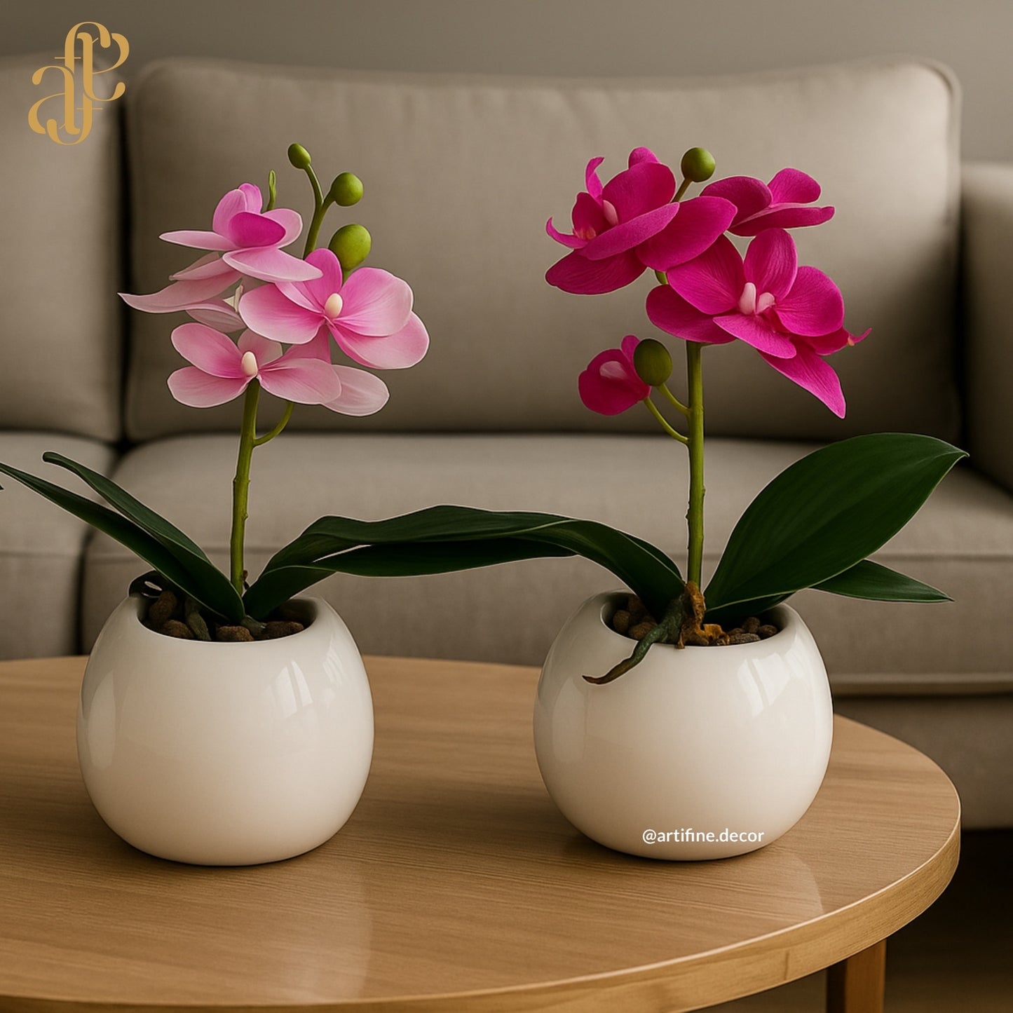 Petite Orchid Elegance in Glossy White Pot