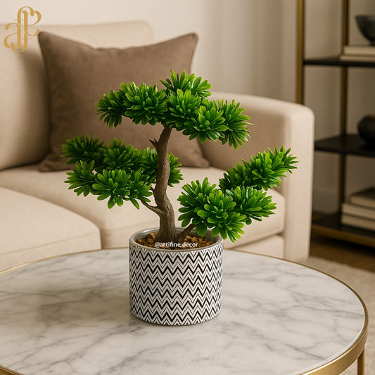 Modern Bonsai in Chevron Ceramic Pot