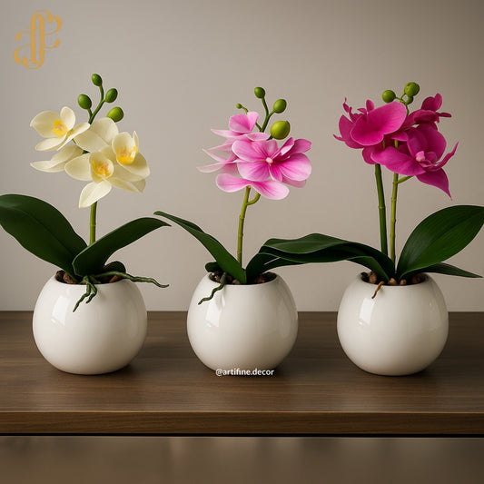 Petite Orchid Elegance in Glossy White Pot