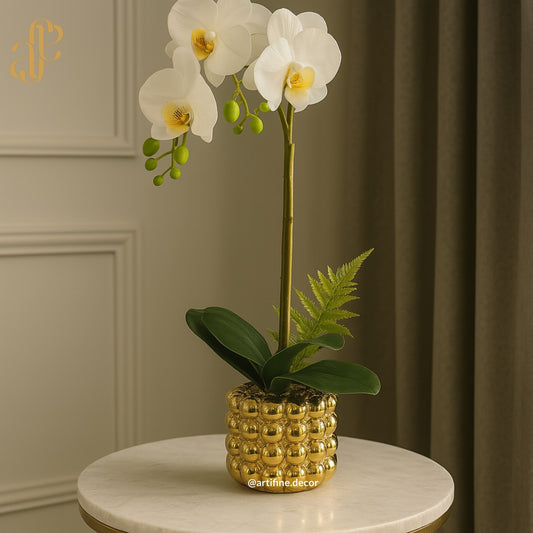 Luxury Orchid Arrangement