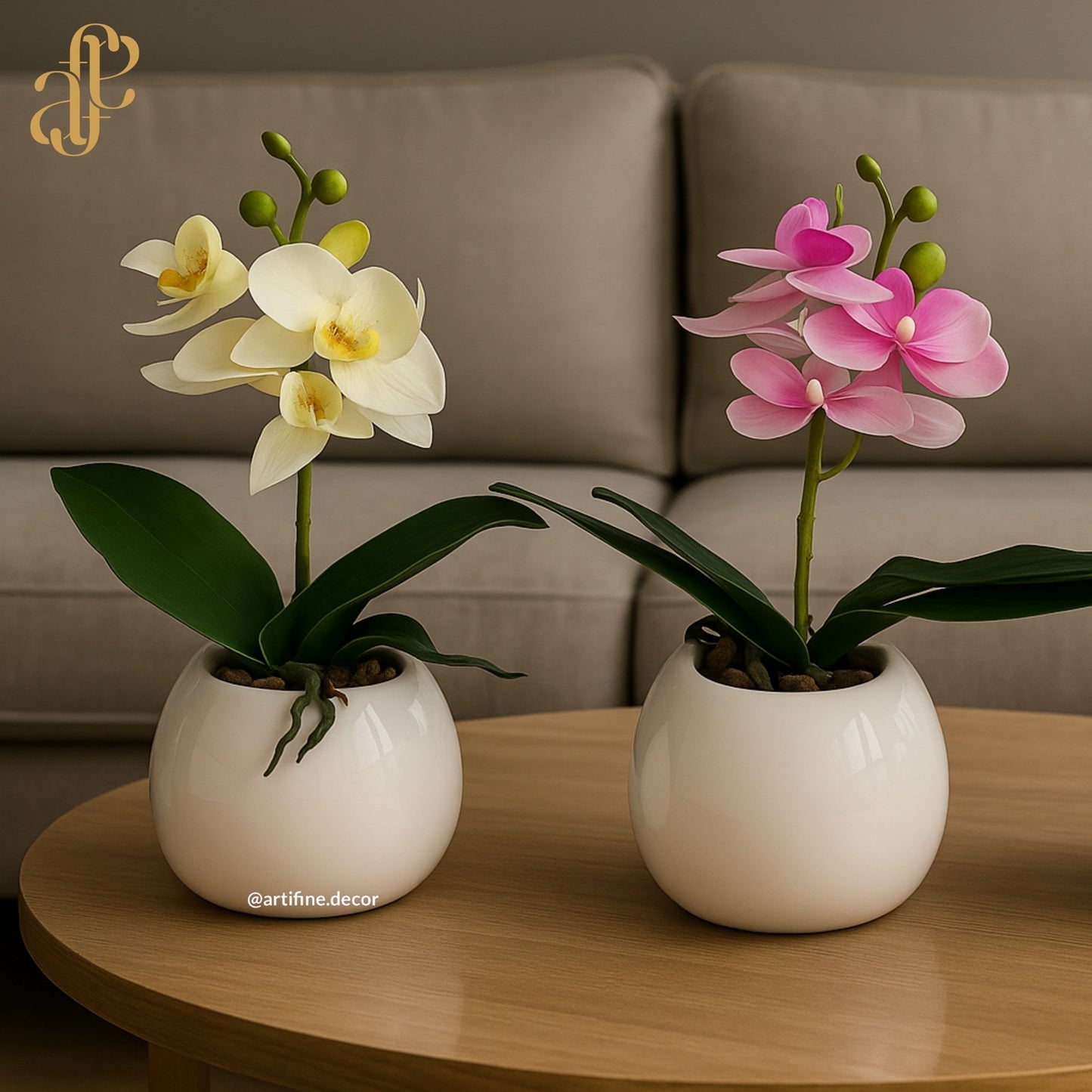Petite Orchid Elegance in Glossy White Pot