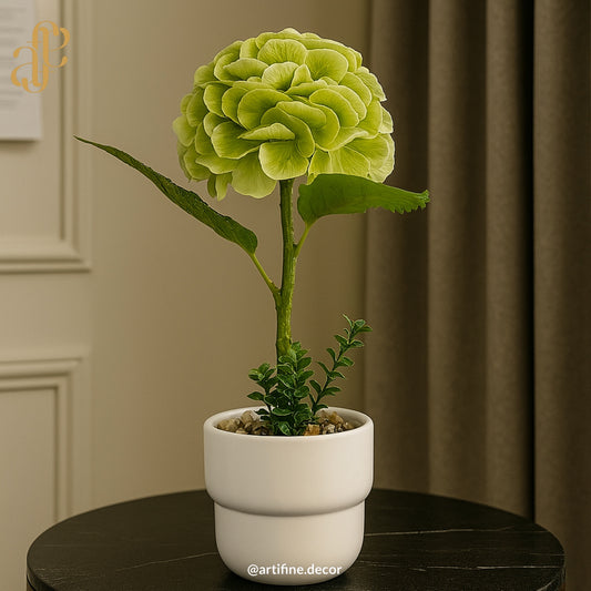 Monochrome Bloom in Matte Ceramic Pot