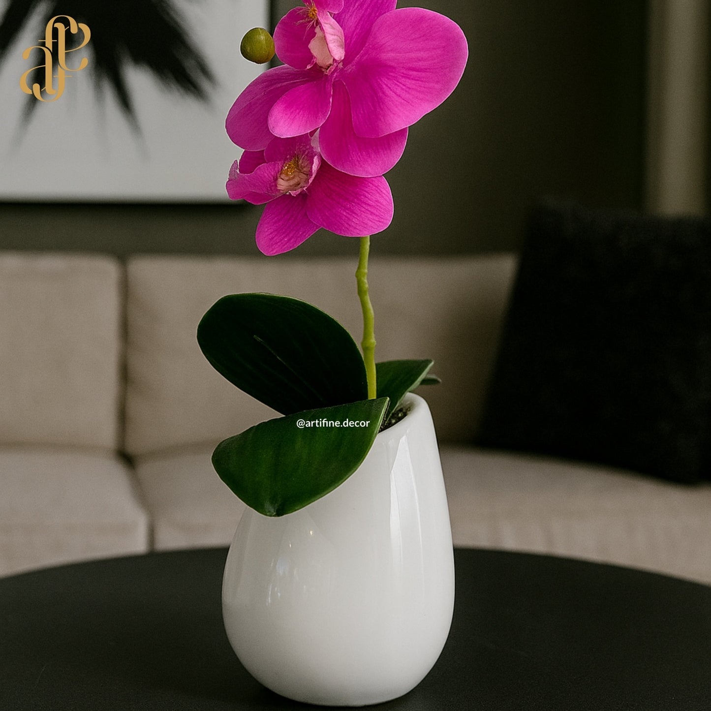 Petite Orchid Elegance in Glossy White Pot