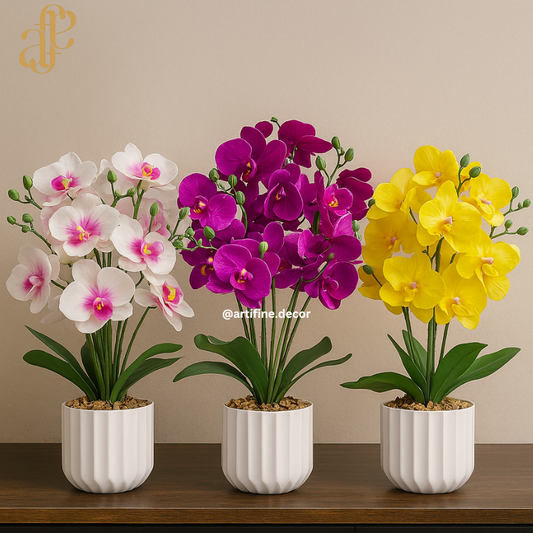 Vibrant Orchid Elegance – Multi-Color Collection in Textured Pot