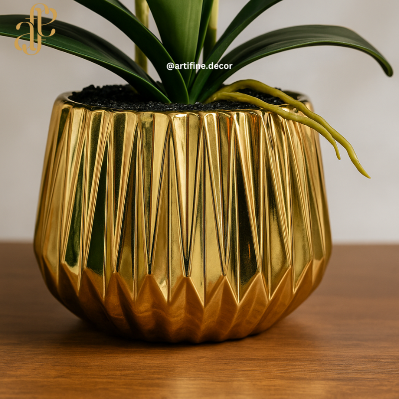 Orchid Elegance in Ceramic Pot