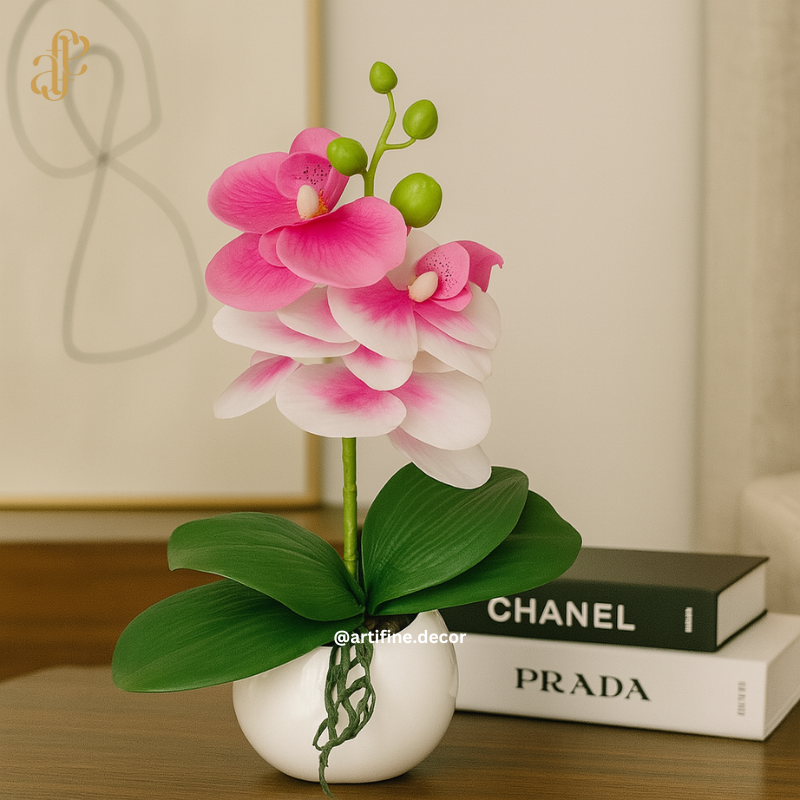 Petite Orchid Elegance in Glossy White Pot