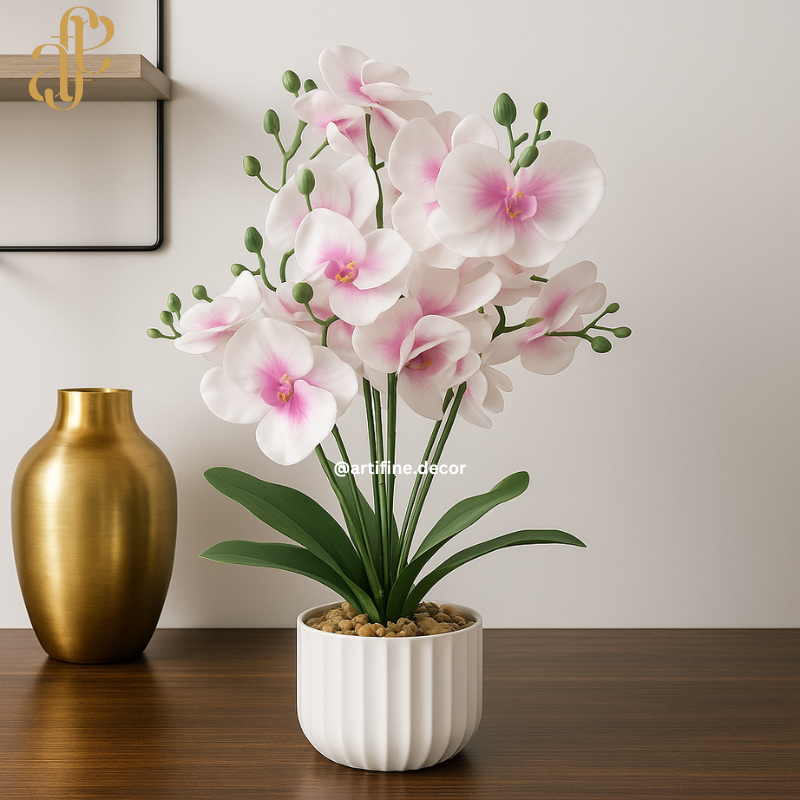 Vibrant Orchid Elegance – Multi-Color Collection in Textured Pot