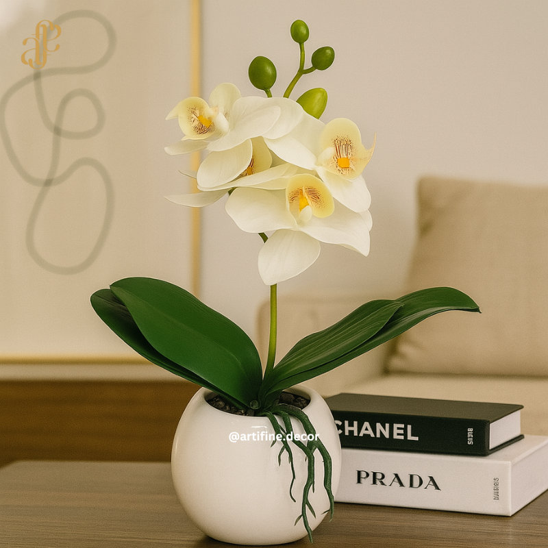 Petite Orchid Elegance in Glossy White Pot