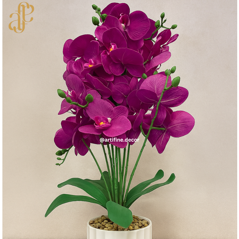 Vibrant Orchid Elegance – Multi-Color Collection in Textured Pot