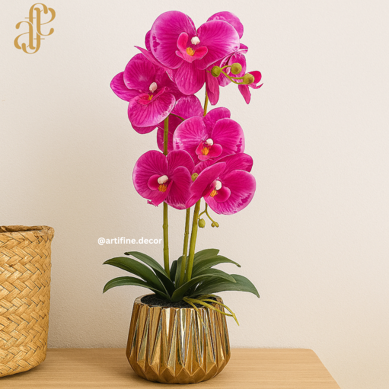 Orchid Elegance in Ceramic Pot