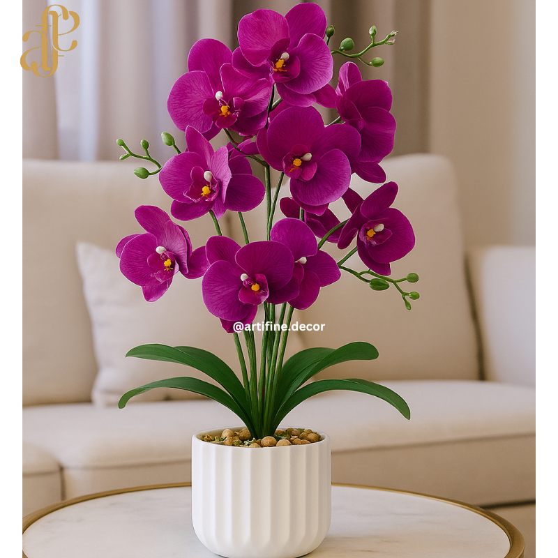 Vibrant Orchid Elegance – Multi-Color Collection in Textured Pot