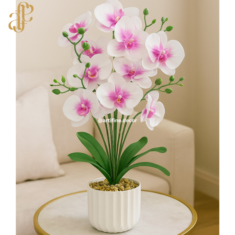 Vibrant Orchid Elegance – Multi-Color Collection in Textured Pot