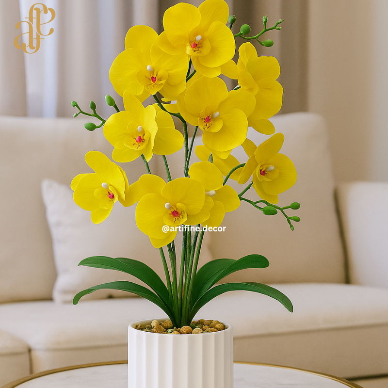 Vibrant Orchid Elegance – Multi-Color Collection in Textured Pot