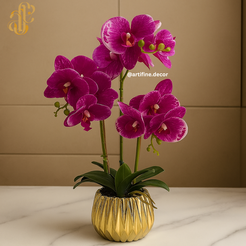 Orchid Elegance in Ceramic Pot