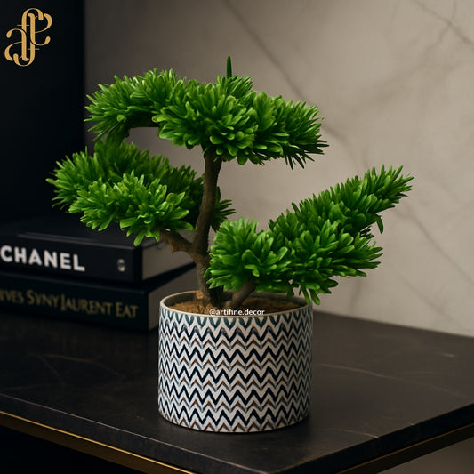 Modern Bonsai in Chevron Ceramic Pot