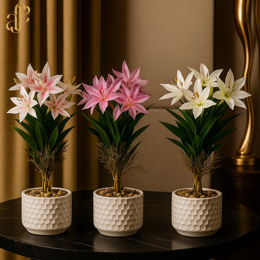 Lily Tree in Honeycomb Pot – 3 Color Options