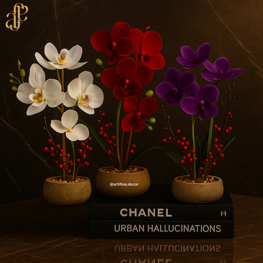 Elegant Orchid Arrangement in Textured Pot