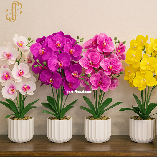 Vibrant Orchid Elegance – Multi-Color Collection in Textured Pot