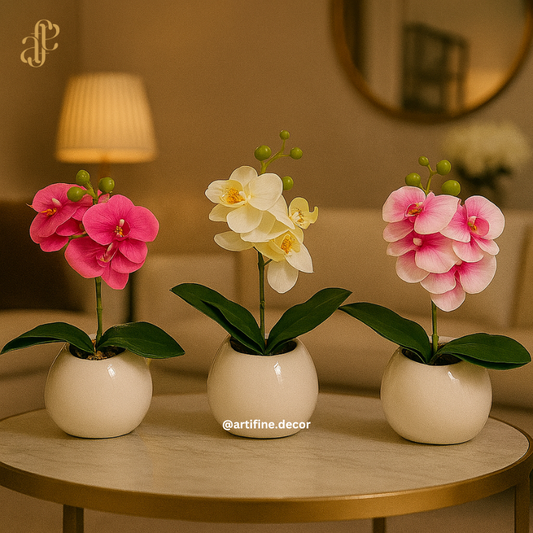 Petite Orchid Elegance in Glossy White Pot